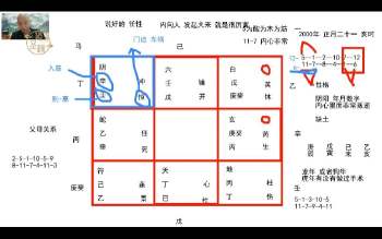 道源老师《新八字六亲解析八字化解视频20集》约33小时