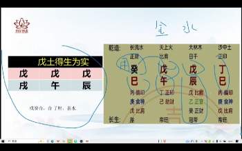 辰南《十天干喜忌.月令调候.常见格局》28集视频 约10小时