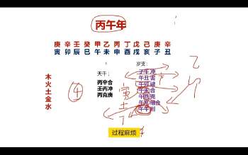 林炳坤《2026年运详解》4集视频约70分钟