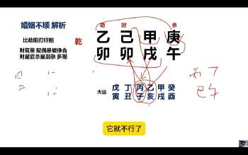 林炳坤《婚姻情感篇——专题课》14集视频约3小时