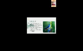 彭国华玄通《微信头像之天命》11集视频约30小时