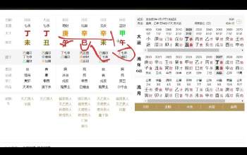 奇正《四柱八字教学，小白也能学得会》视频32集 约3.5小时