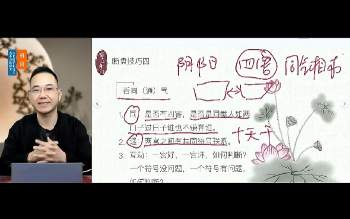 牛朝阳《奇门断盘技巧篇》11集视频 约90分钟