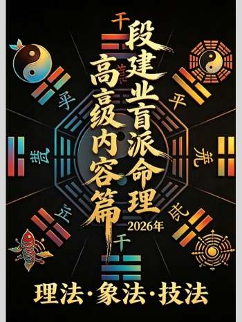 《段建业盲派命理•高级内容篇》理法.象法.技法 360页