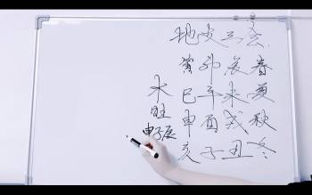 易仙同林老师初级盲派八字视频25集 约18小时