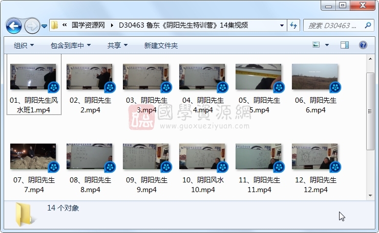 鲁东《阴阳先生特训营》14集视频 易学相关 第1张