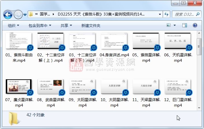 天天《紫微斗数》33集+案例视频共约14小时 紫微斗数 第1张