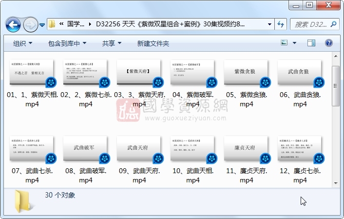 天天《紫微双星组合+案例》30集视频约8小时 紫微斗数 第1张