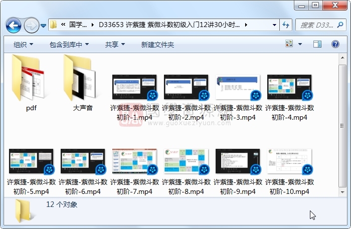 许紫捷 紫微斗数初级入门12讲30小时+讲义 紫微斗数 第1张