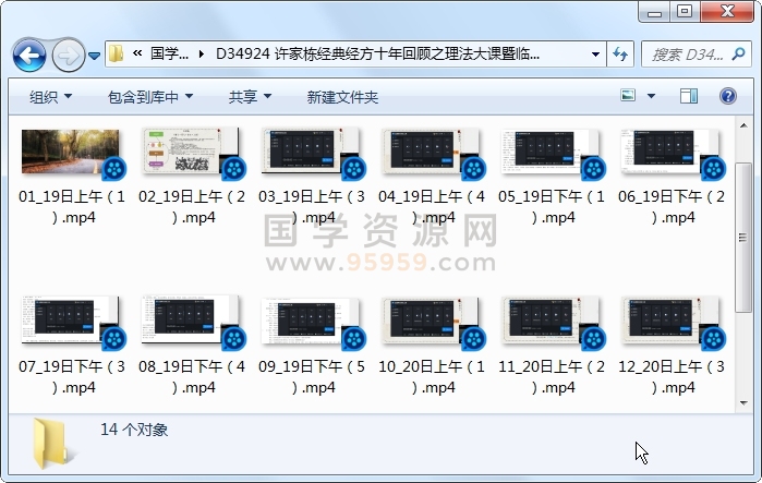 许家栋经典经方十年回顾之理法大课暨临床带教视频14集 中医书籍 第1张
