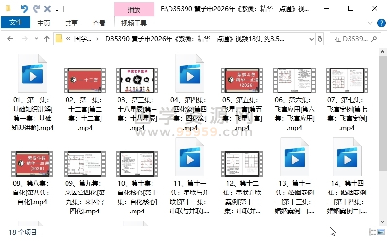 慧子申2026年《紫微：精华一点通》视频18集 约3.5小时 紫微斗数 第1张