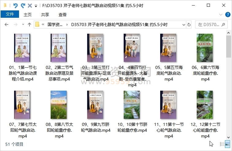 芹子老师七脉轮气脉启动视频51集 约5.5小时 中医书籍 第1张