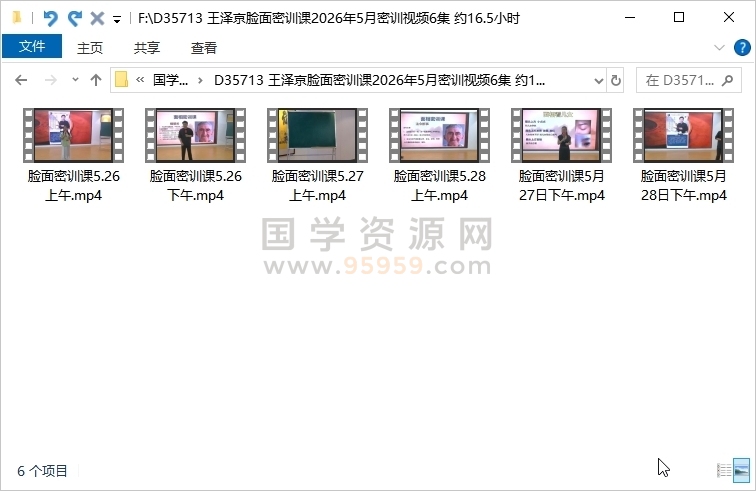 王泽京脸面密训课2026年5月密训视频6集 约16.5小时 手相面相 第1张