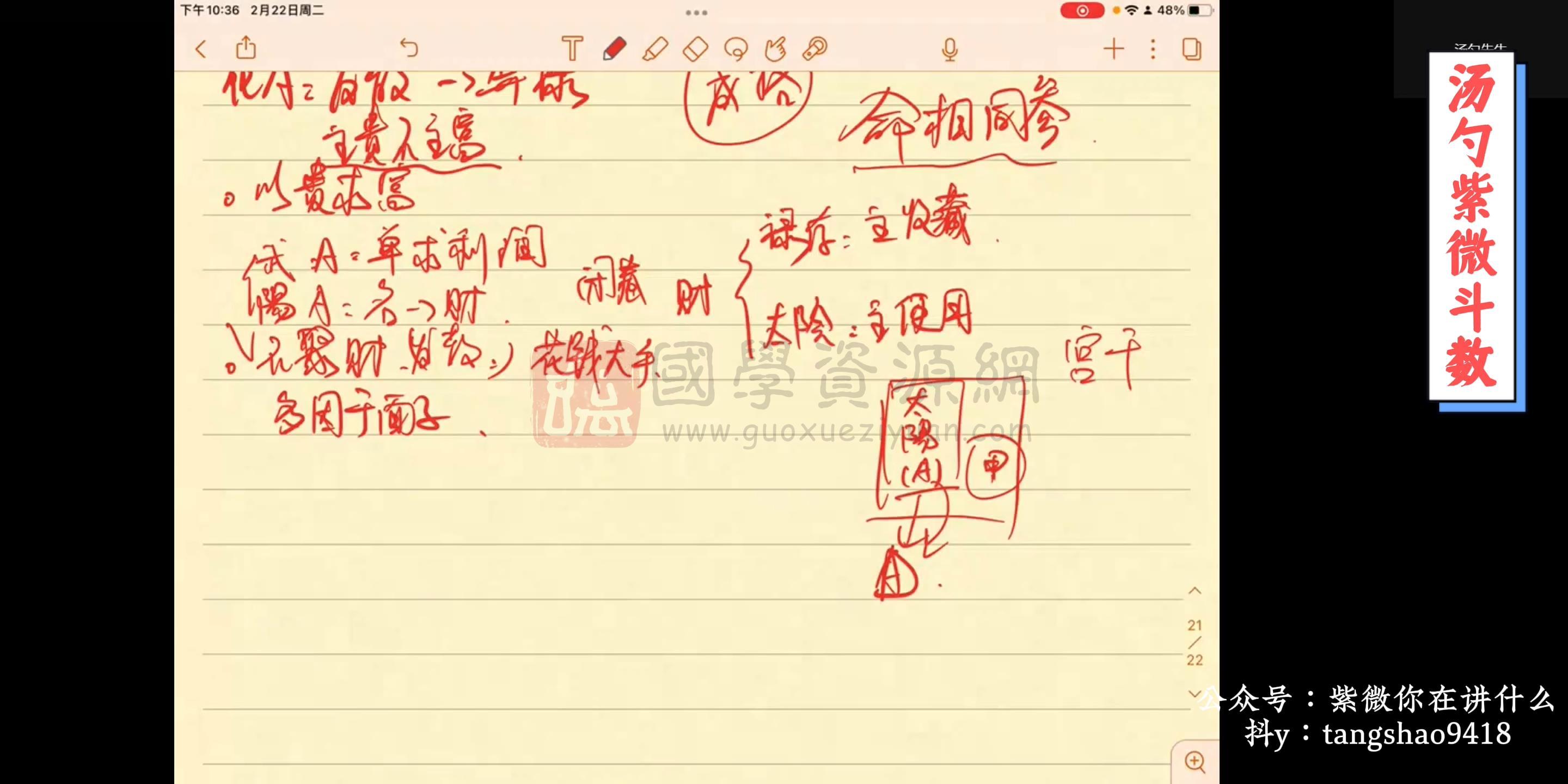 汤言钧 紫微斗数课程视频 S-易学 第2张