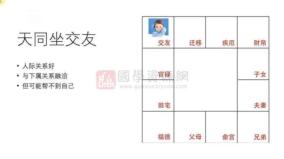 爱丽娅《紫微斗数初级班》24集视频约5.5小时 紫微斗数 第2张