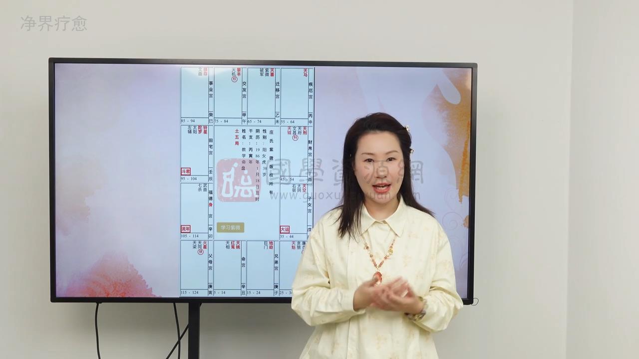 精灵媛《紫微斗数人生战略》36集视频约3.5小时 紫微斗数 第2张