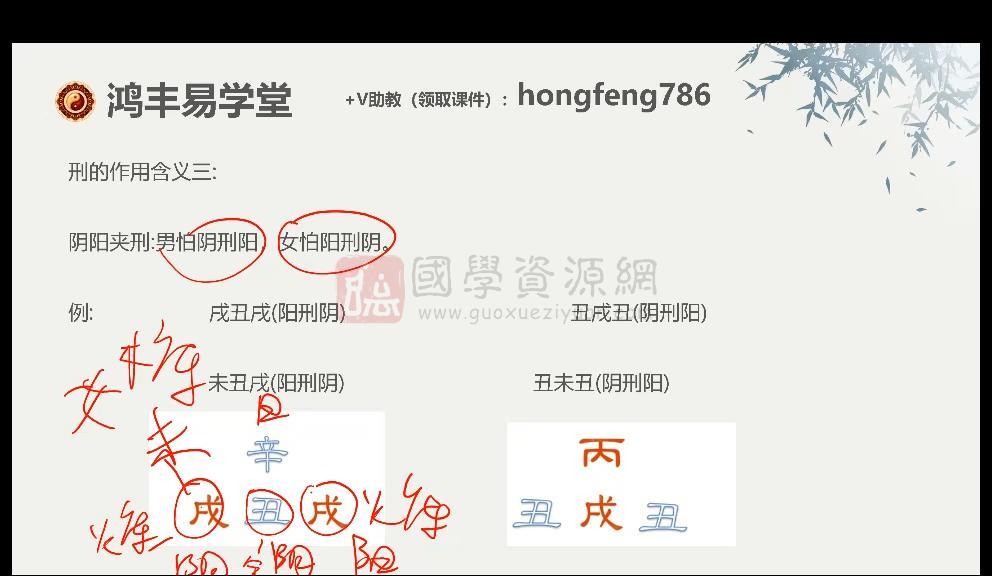 鸿丰《12小时教会你看八字》14集视频约16小时 四柱八字 第2张