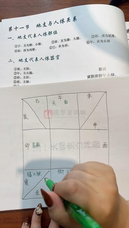 孙真坤《流年十二神煞(缺71)》73集视频约7.5小时 四柱八字 第2张-国学资源网 孙真坤《流年十二神煞(缺71)》73集视频约7.5小时 四柱八字 第2张