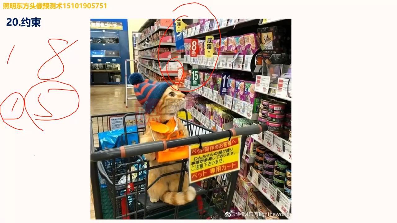 照明居士《头像分析高级班》视频20集约21小时 手相面相 第2张-国学资源网 照明居士《头像分析高级班》视频20集约21小时 手相面相 第2张