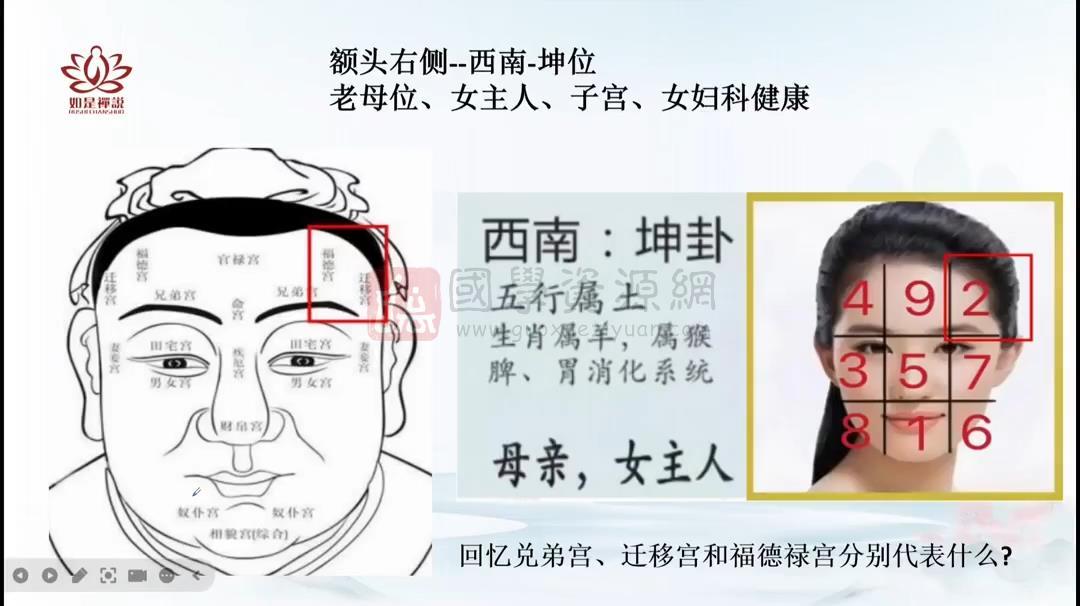 辰南老师《麻衣相术》教学视频20集约9小时 手相面相 第2张-国学资源网 辰南老师《麻衣相术》教学视频20集约9小时 手相面相 第2张