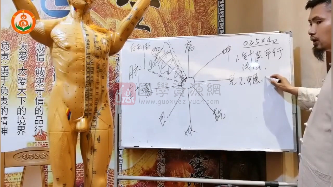 蔡卓勋《灵枢易针》6集视频约9小时 中医书籍 第2张