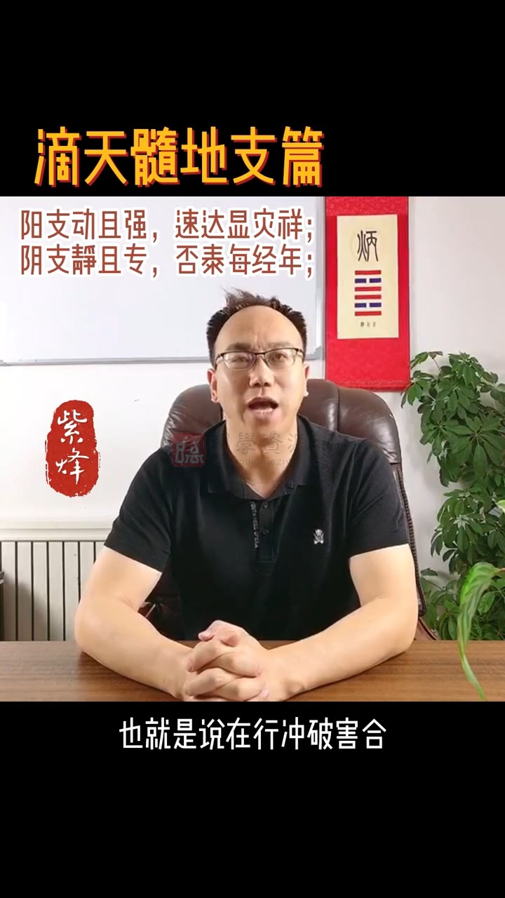 紫烽老师盲派核心视频41集约4.5小时 命理 第2张-国学资源网 紫烽老师盲派核心视频41集约4.5小时 命理 第2张