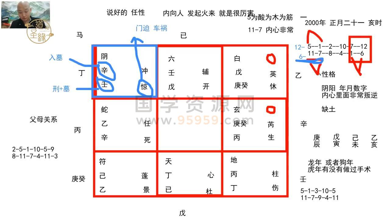 道源老师《新八字六亲解析八字化解视频20集》约33小时 四柱八字 第2张