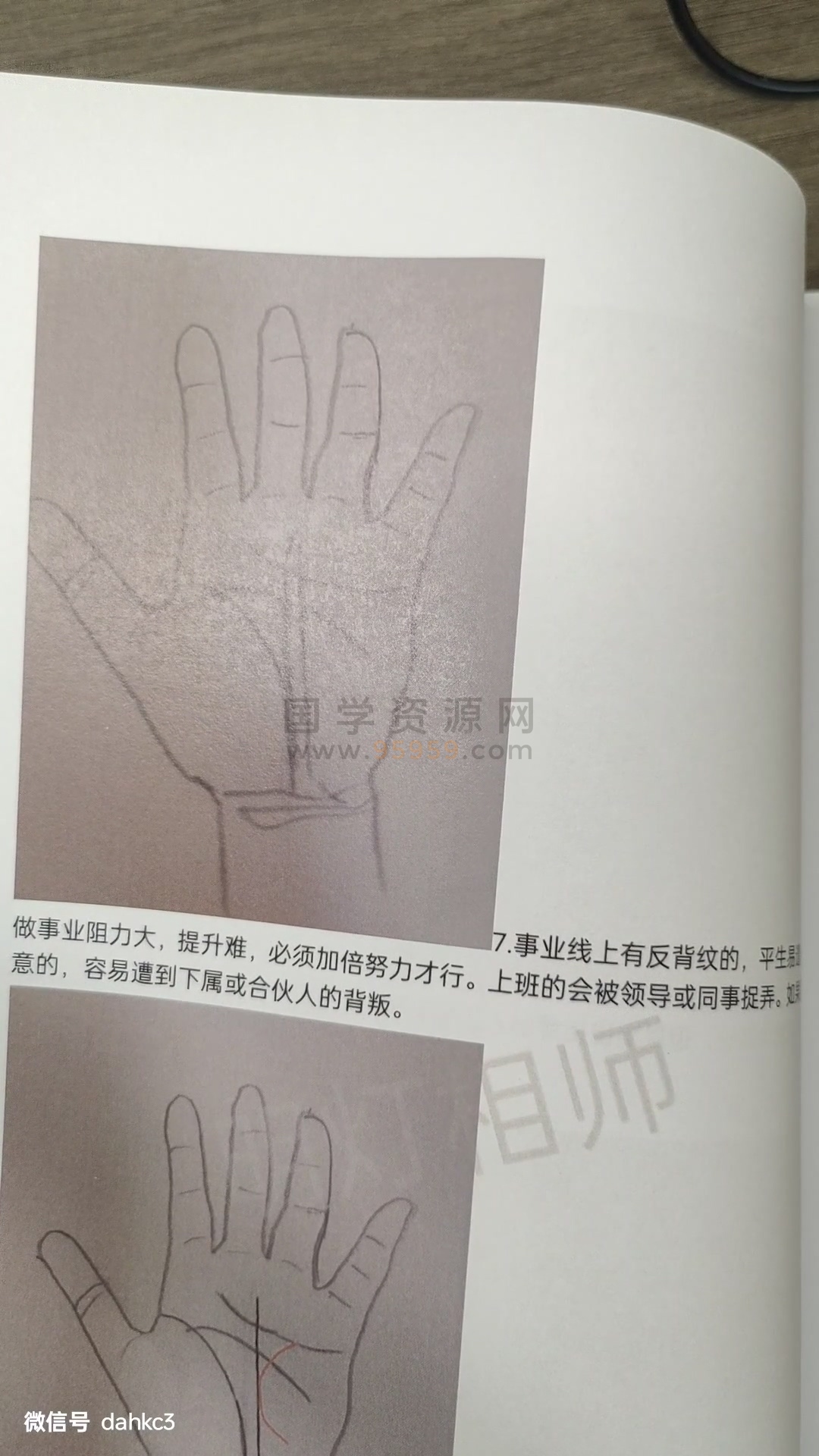明灯手相教程第二期视频约2小时+资料 手相面相 第2张