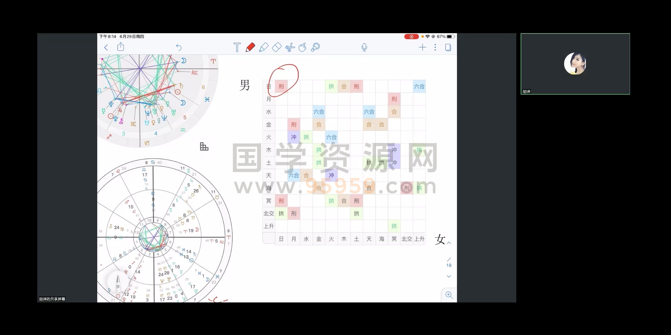 南风占星基础课视频56集+专业课视频45集 占卜预测 第2张
