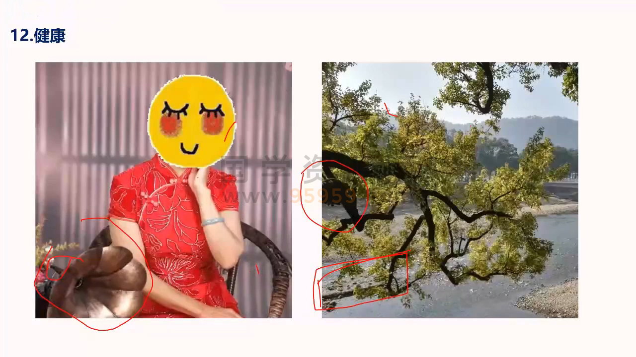 照明居士头像分析高级班第二期视频25集约24.5小时 手相面相 第2张-国学资源网 照明居士头像分析高级班第二期视频25集约24.5小时 手相面相 第2张