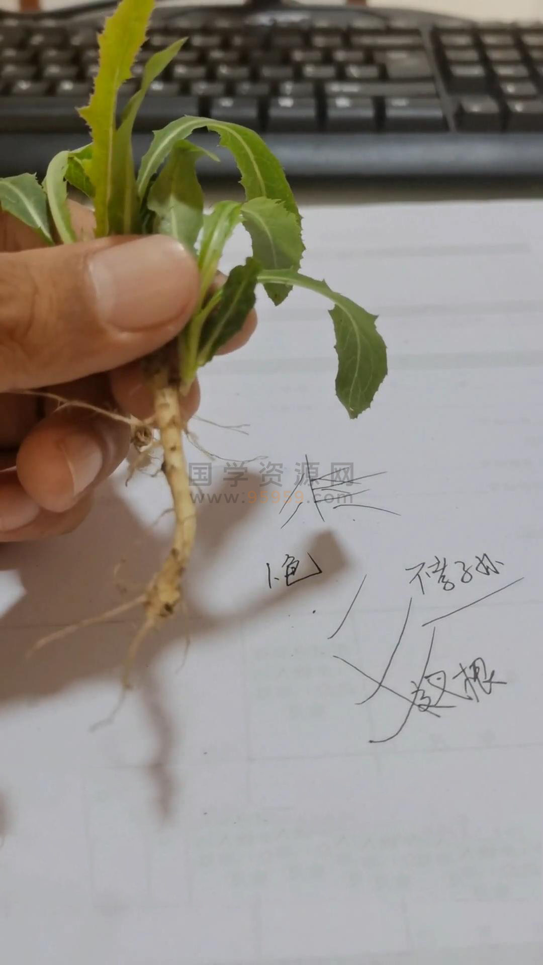 《混元地理拔草断》10集视频约2.5小时 命理 第2张