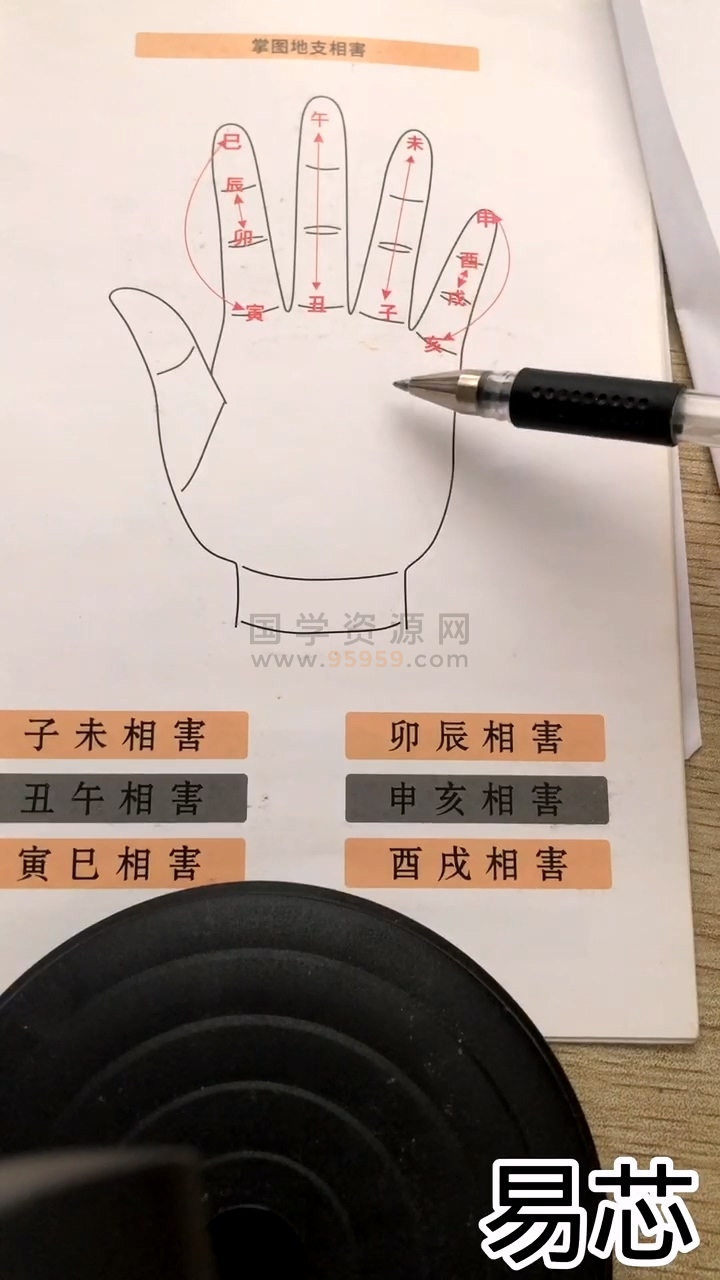 易芯八字初级班视频及文档资料 约6.5小时 四柱八字 第2张-国学资源网 易芯八字初级班视频及文档资料 约6.5小时 四柱八字 第2张