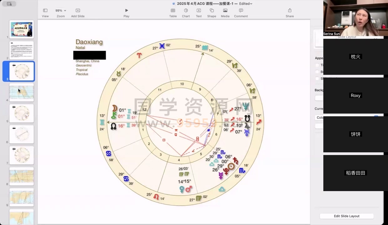 占星课程 Serina 2025年第一场3日Live直播工作坊_ACG重置、择地与风水能量学 约10.5小时 占卜预测 第2张