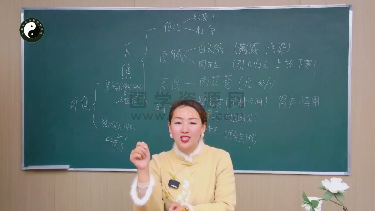 张峪宁 2026年3月《医易同源密训》视频4集 约12.5小时 中医书籍 第2张